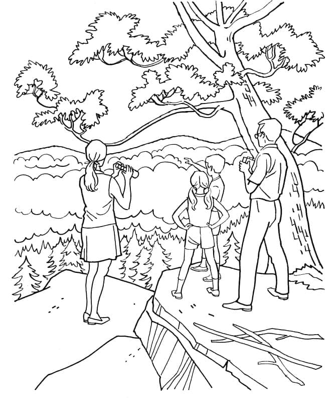 Wald zum Drucken ausmalbilder