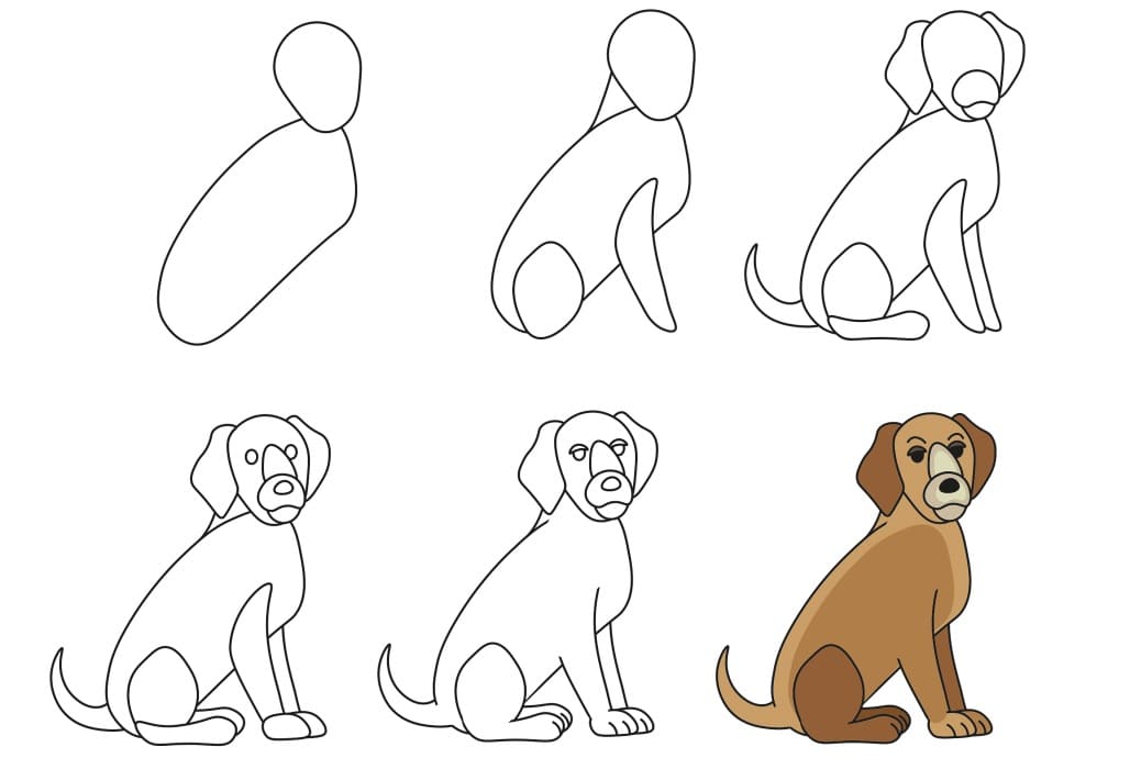 Wie man einen Hund zeichnet