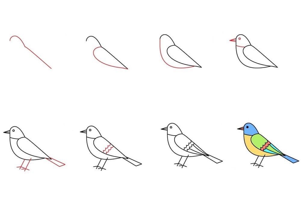 Wie man einen Vogel zeichnet