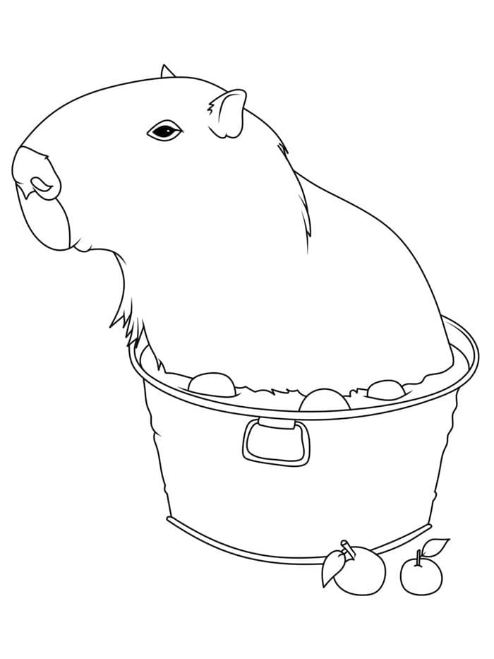 Wildes Capybara ausmalbilder