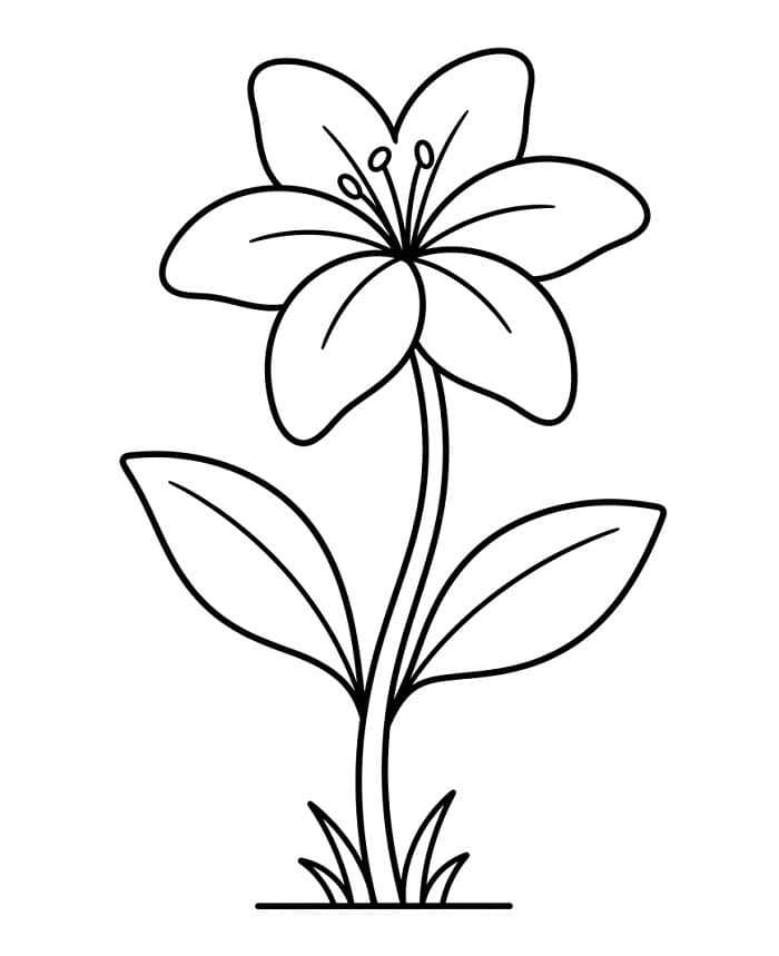 Wundervolle Lilie ausmalbilder