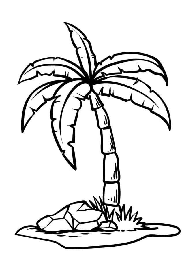 Wundervolle Palme ausmalbilder
