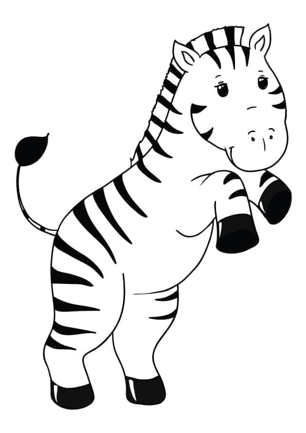 Zebra Für Kinder ausmalbilder