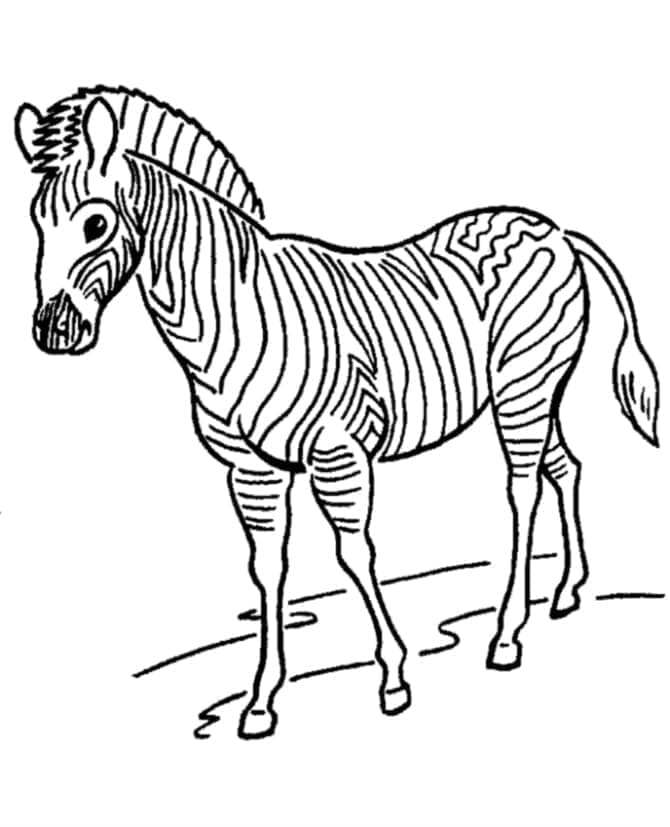 Zebra Kostenlos Druckbar ausmalbilder