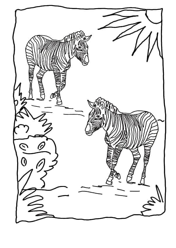 Zebra Kostenlos Für Kinder ausmalbilder