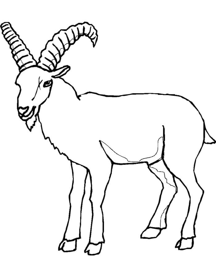 Ziege Kostenlos Druckbar ausmalbilder