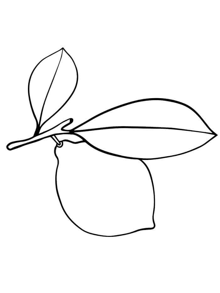 Zitrone kostenlos ausmalbilder