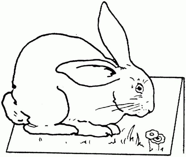 Druckbarer Hase für Kinder ausmalbilder