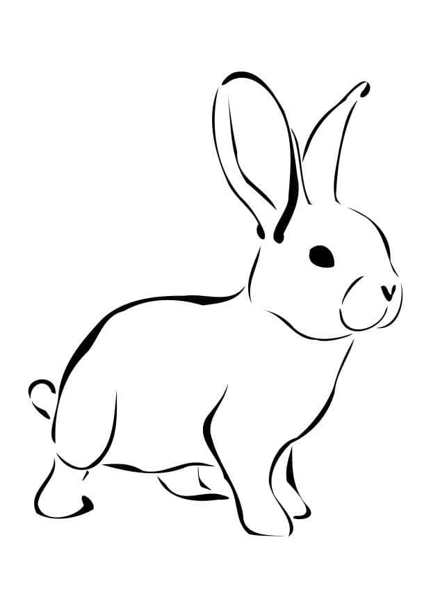 Druckbares Hase Bild ausmalbilder