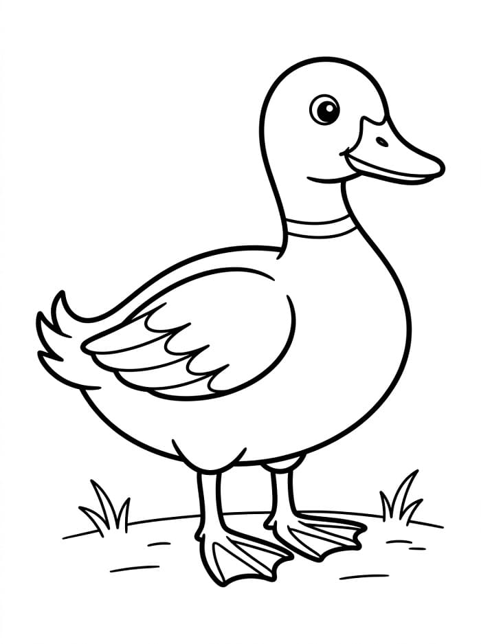 Eine normale Ente ausmalbilder