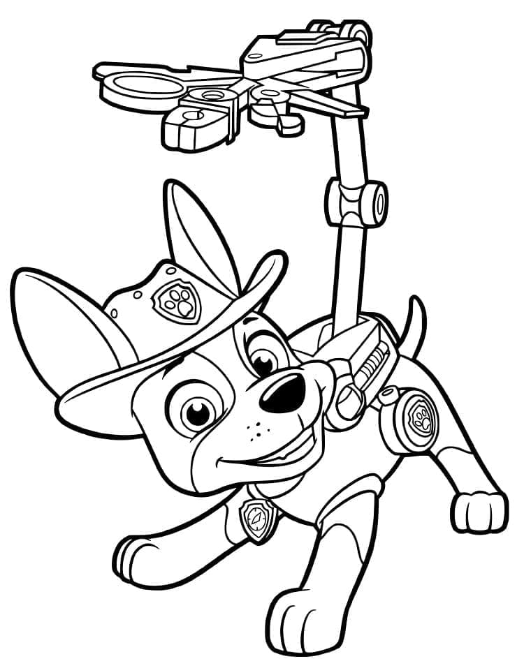 Einfache Paw Patrol ausmalbilder