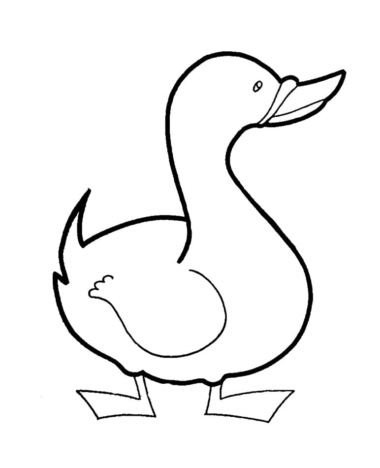 Ente 1 ausmalbilder