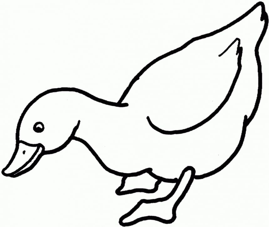 Ente ausdruckbar für Kinder ausmalbilder
