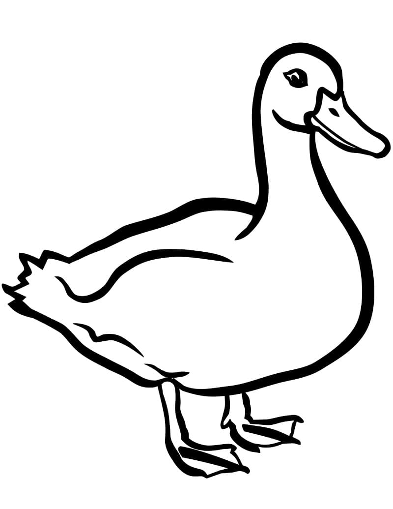 Ente für 4-jährige Kinder ausmalbilder