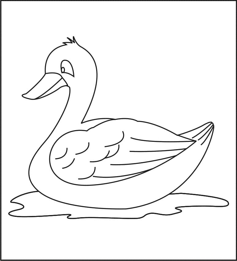 Ente gratis für Kinder ausmalbilder