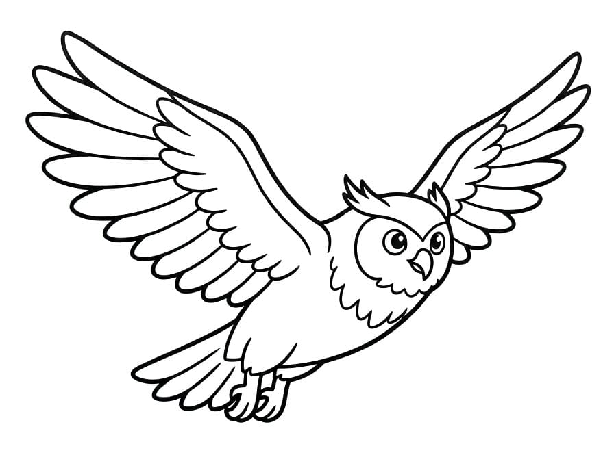 Eule am Himmel fliegend ausmalbilder
