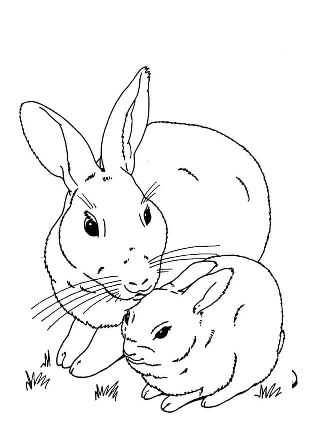 Hase druckbares Bild ausmalbilder