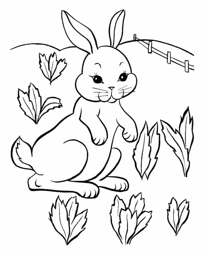 Hase für 2-jährige Kinder ausmalbilder