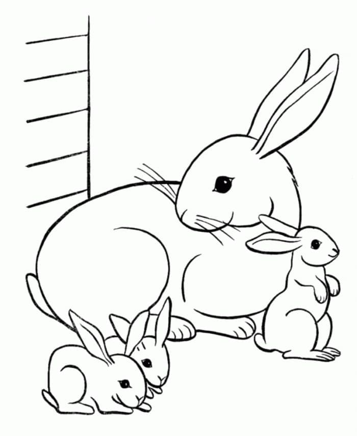 Hase für 5-jährige Kinder ausmalbilder