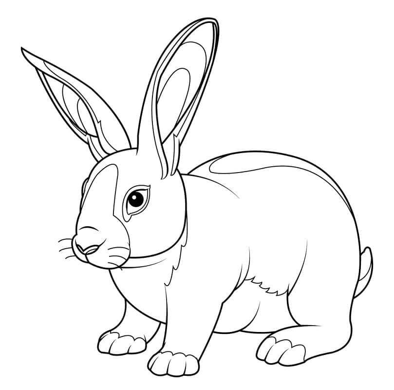 Kostenloser Hase für Kinder ausmalbilder