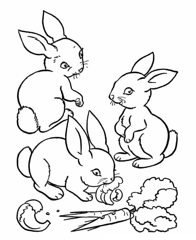 Kostenloses Hase Bild ausmalbilder