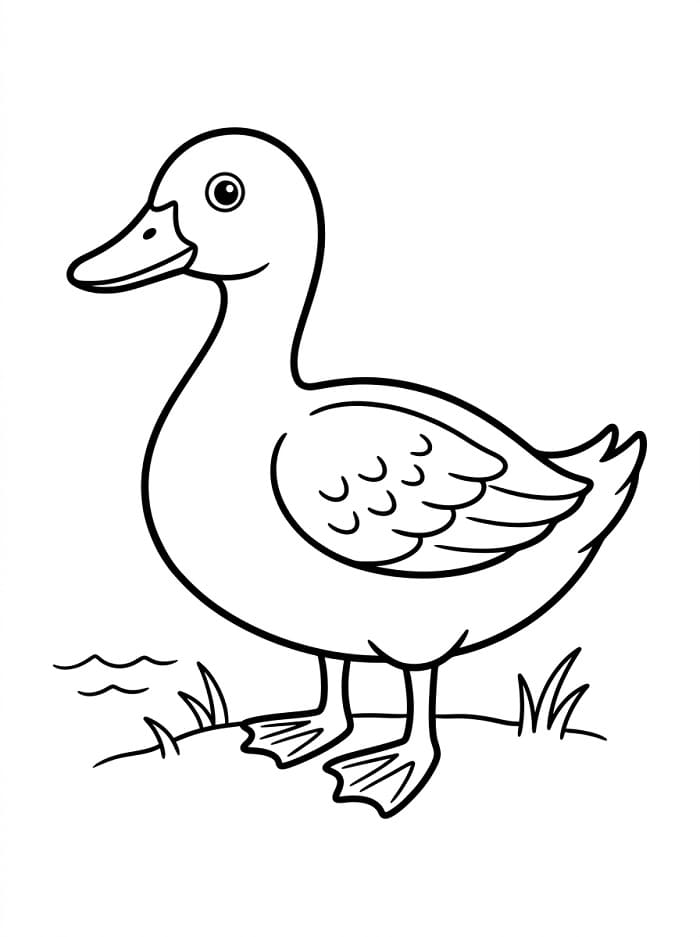 Nette Ente ausmalbilder