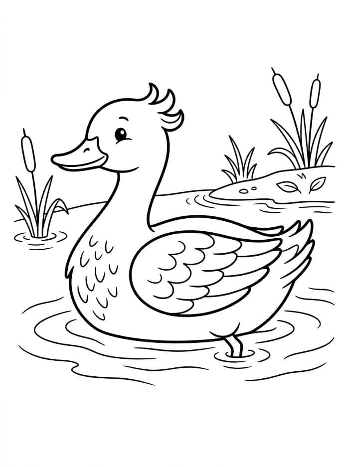 Niedliche Ente ausmalbilder