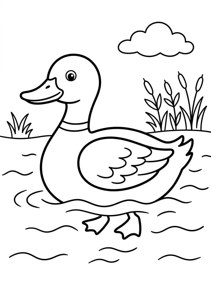 Normale Ente ausmalbilder