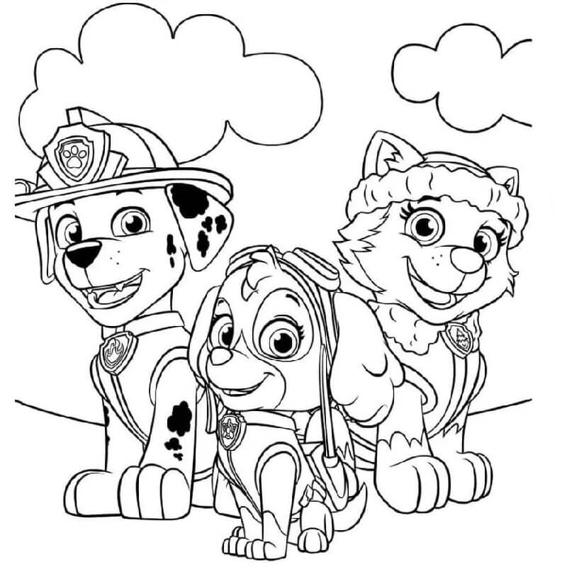 Paw Patrol (3) ausmalbilder
