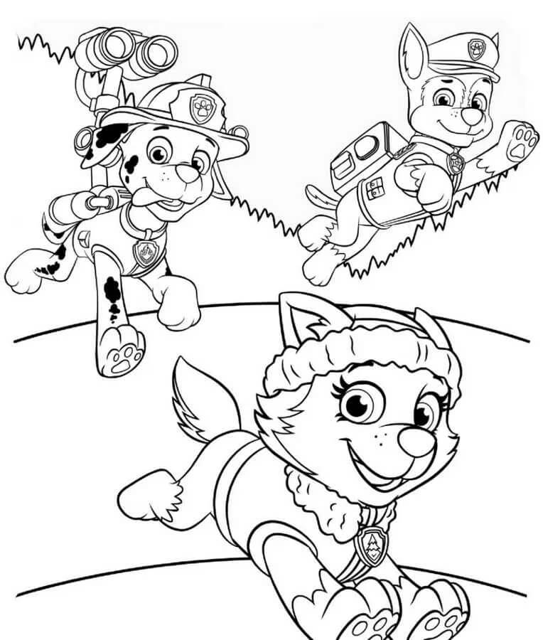 Paw Patrol (4) ausmalbilder