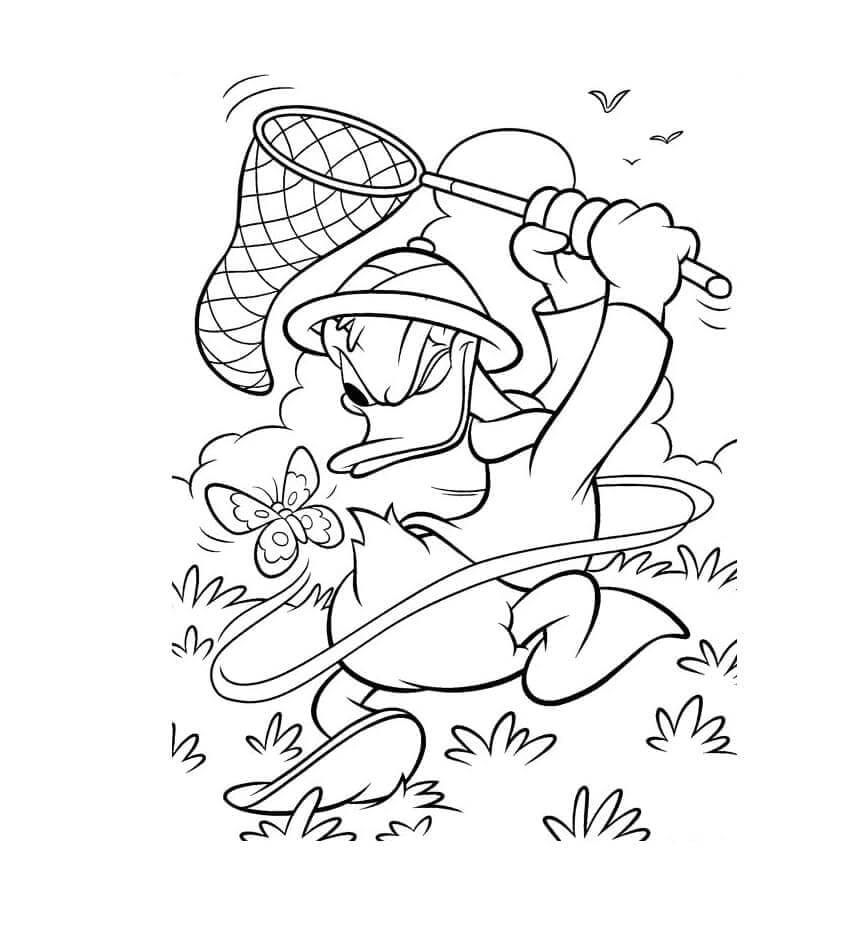 Sehr lustiger Donald Duck ausmalbilder