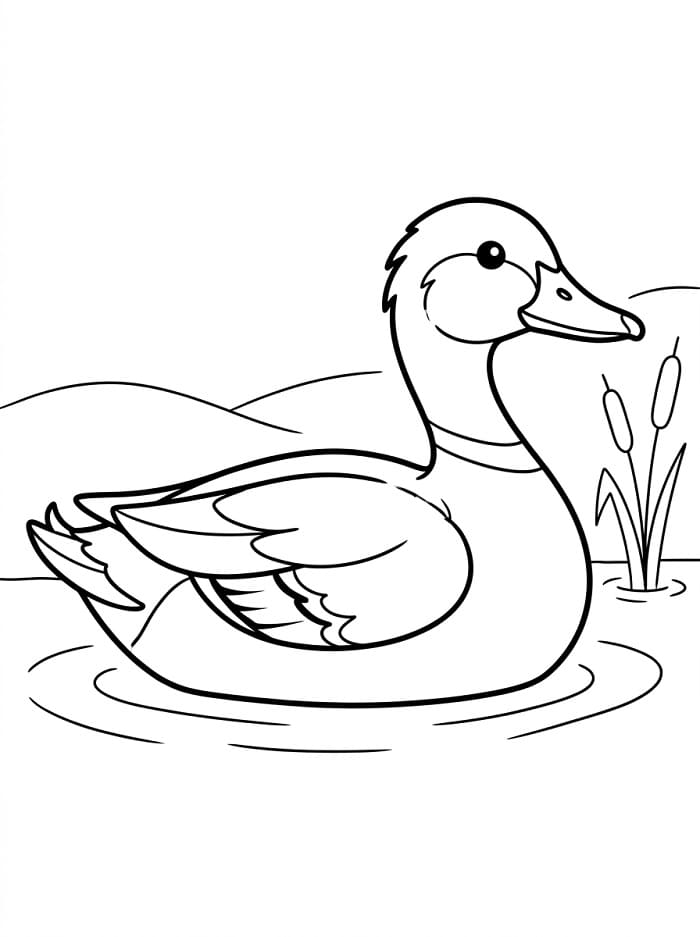 Sehr süße Ente ausmalbilder