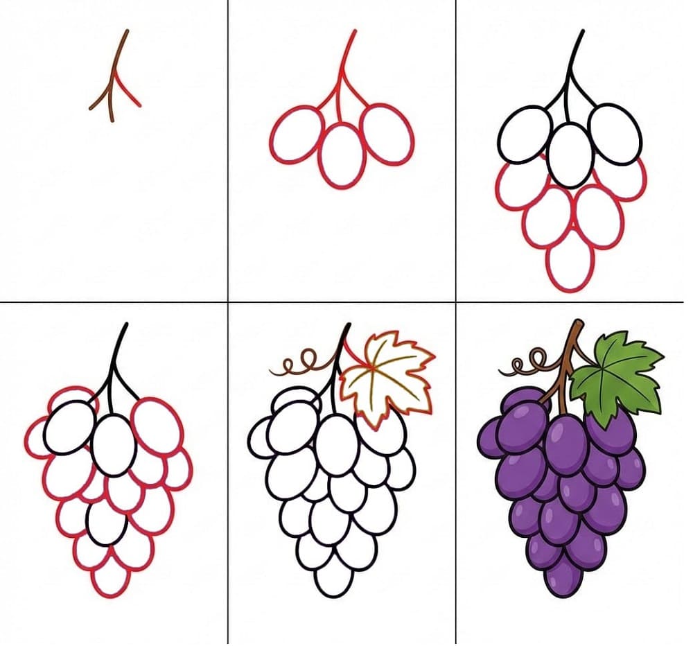 Wie man Weintrauben zeichnet