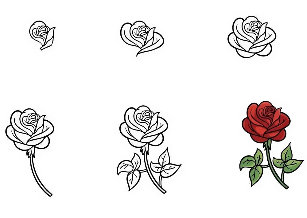 Wie man eine Rose zeichnet