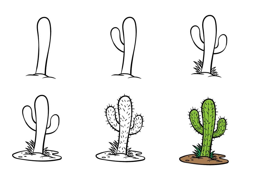 Wie man einen Kaktus zeichnet